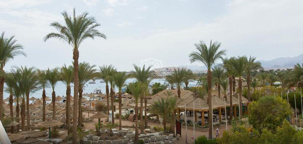 Oonas Dive Club Hotel Sharm el-Sheikh Bagian luar foto